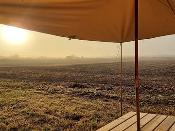 Morning views