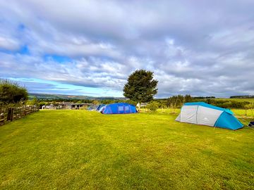 Tent pitch area