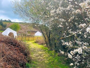 Path to the tents