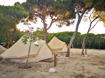 Camp basic tents on sandy pitches