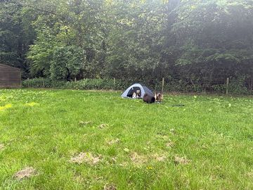 Tent in the grass field