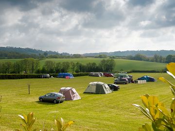 Tent pitches