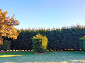 Hedging around the caravan site