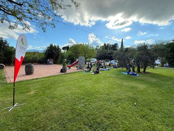 Camping spaces on the grass