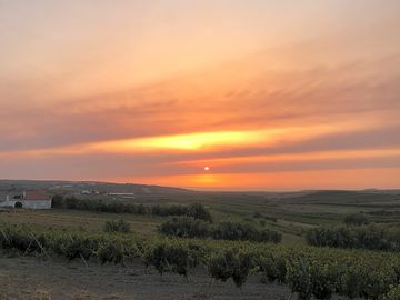 Sun setting over the fields and the sea