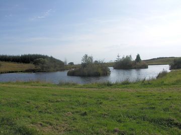 View across the lake