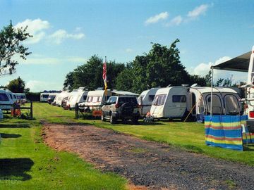 Grass pitches