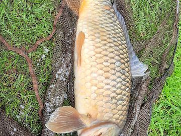 Just some of the amazing fish & scenery.