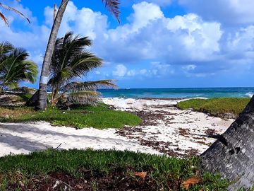 White sand beaches