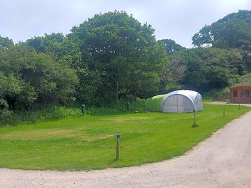 Some of our electric tent pitches, with reception in the background