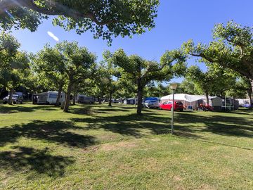 Large shaded pitches