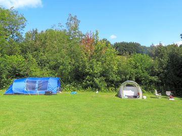 Grass pitches