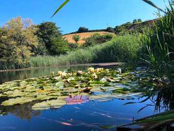 Pond at north end farm