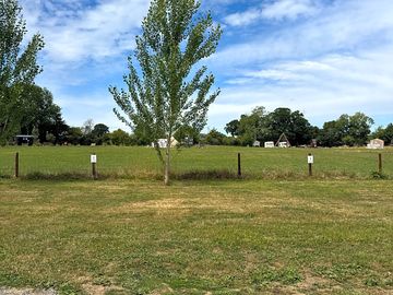 Grass pitches