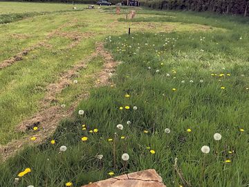 Camping pitches