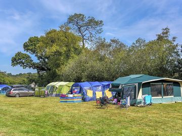 Grass pitches