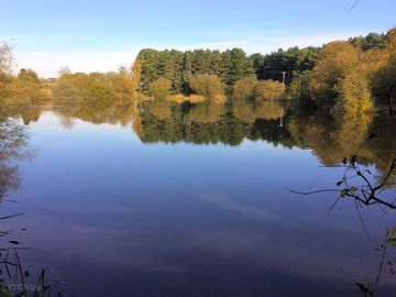 A simply stunning view of the carp lake