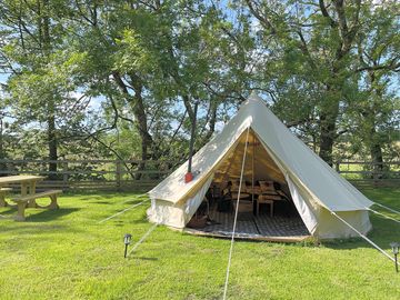 The hive bell tent with a picnic table