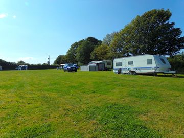Grass electric pitches