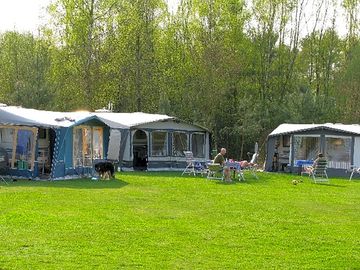 Grass pitches with trees behind