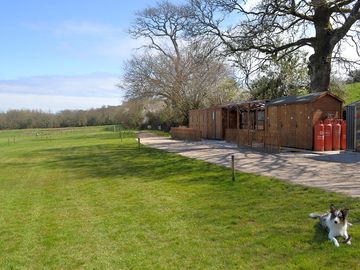 Facilities and a young norman
