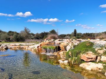 Bio lake