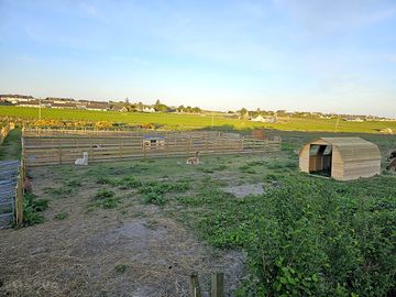 View of caithness animal farm park