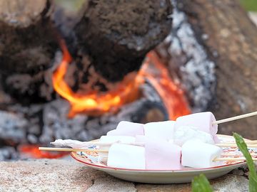 Marshmallows on the fire