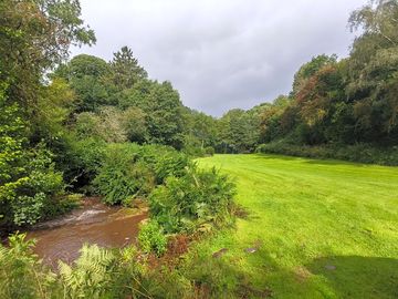 Stream along the field