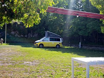 Pitch under the trees