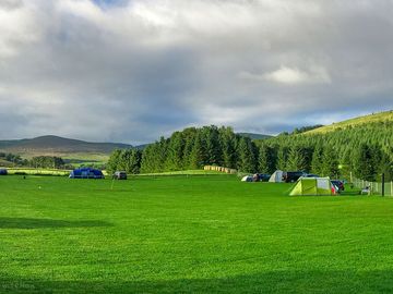 Grass pitches on site