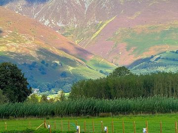 Summer shadows on the fell