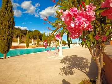 Outdoor pool and sun terrace