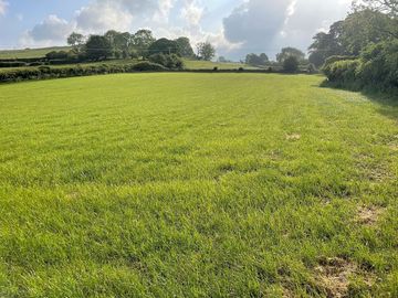 Grassy field
