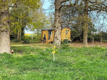 Visitor image of the shepherd's hut (added by manager 15 sep 2022)