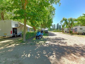 Pitches among trees