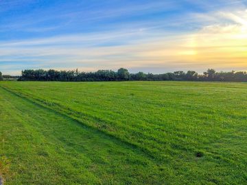 Camping paddock