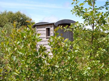 One of the compost loos. we have one for each yurt. (added by manager 05 jun 2017)