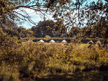 Bell tents