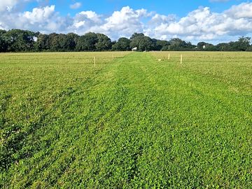 Mown road to the grass pitches (added by manager 07 aug 2023)
