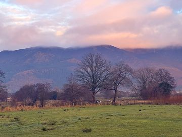 View from the pitches