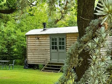 Hidden amongst pine & oak trees but in a quiet corner of the garden
