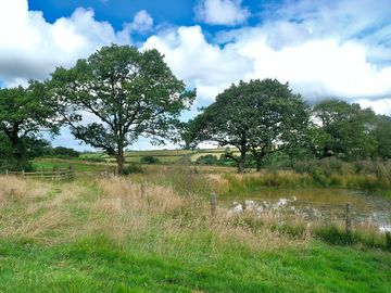 Pond on site