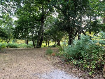 Outside front of farm
