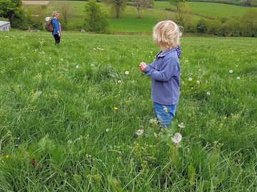 The camping field