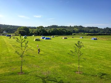 Grass pitches