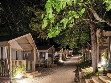 Safari tents