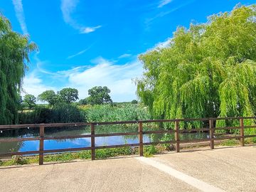 The farm duck pond