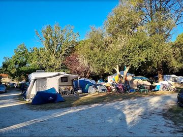 Pitches under trees (added by manager 22 nov 2023)