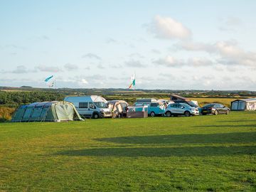 Grass pitches on site